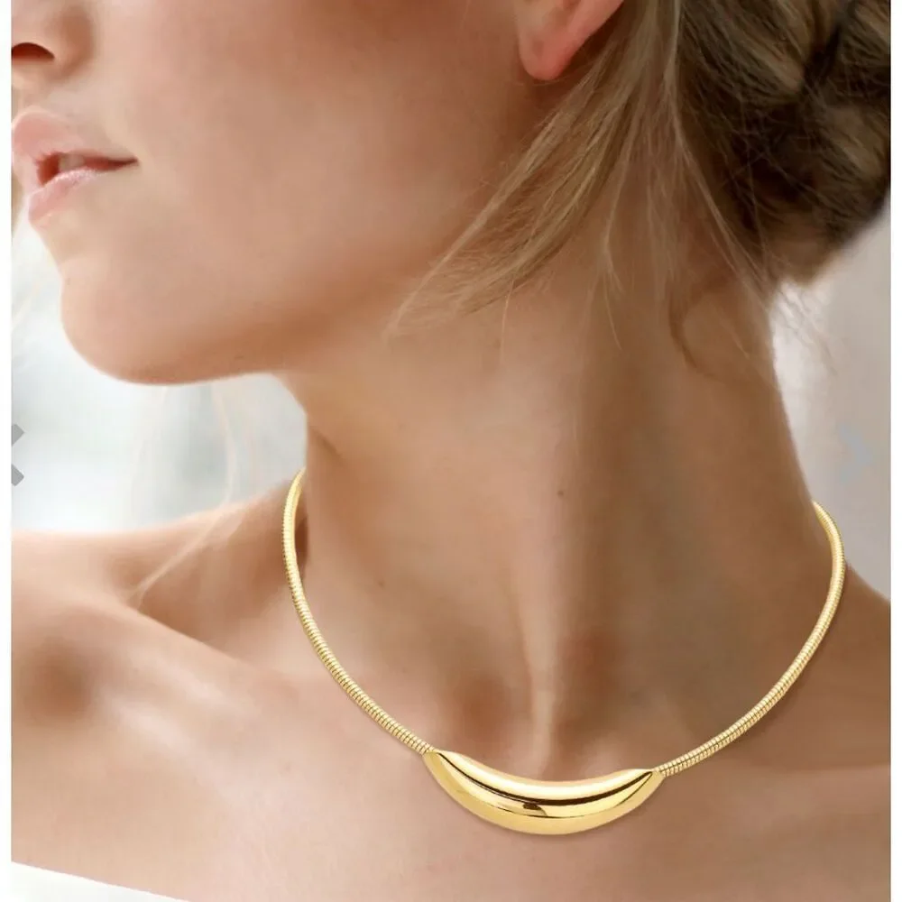 NWT Blanche & Co. choker. Sliding puffed sliver moon. 16” long